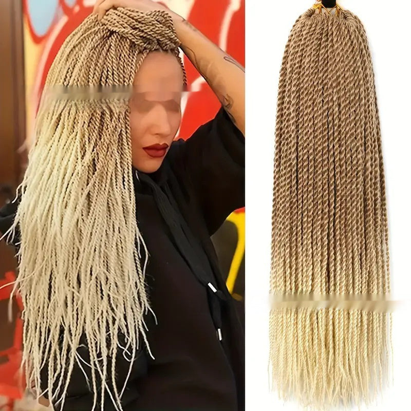 African Twist Braided Wig – Synthetic Dreadlocks Style